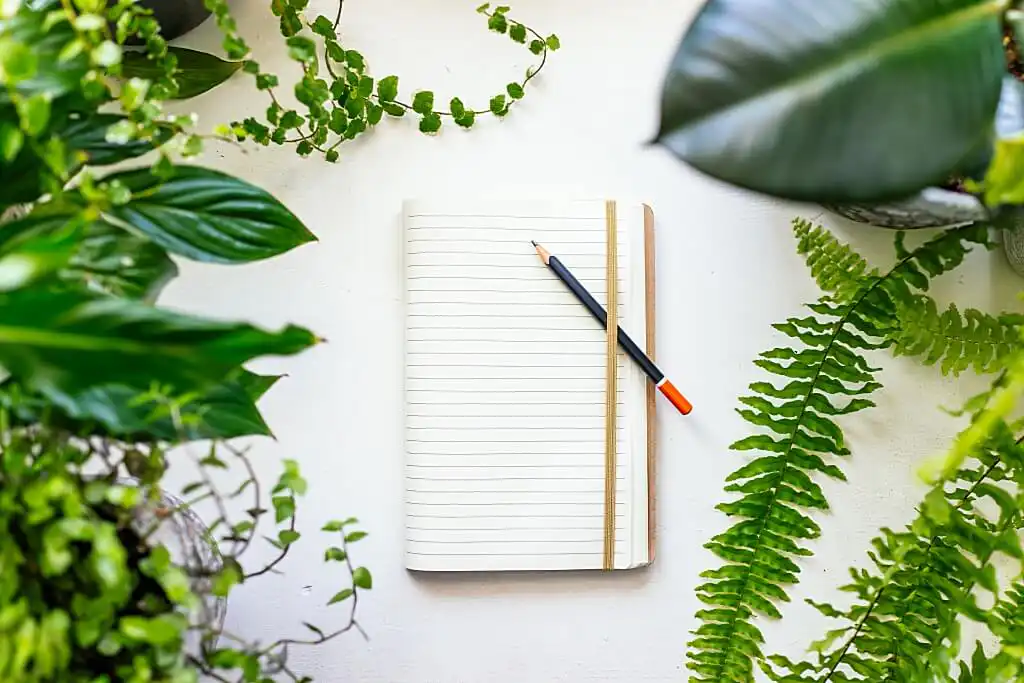 How to enhance home decor - know more about Interior stylists interior stylist - How to enhance home decor know more about Interior stylists 3 - How to enhance home decor – know more about Interior stylists