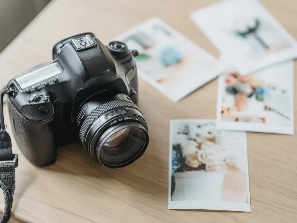 7 Types of Photography Styles to Master thumbnail