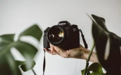 lilly rum L6W9ZIQ5saM unsplash