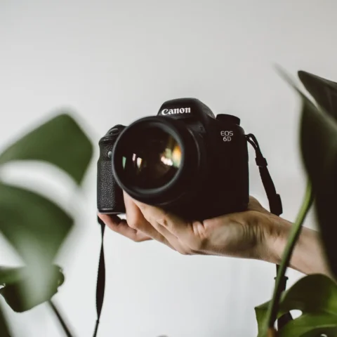 lilly rum L6W9ZIQ5saM unsplash