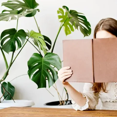 Reading Room Must Try Interior Design Ideas Thumb