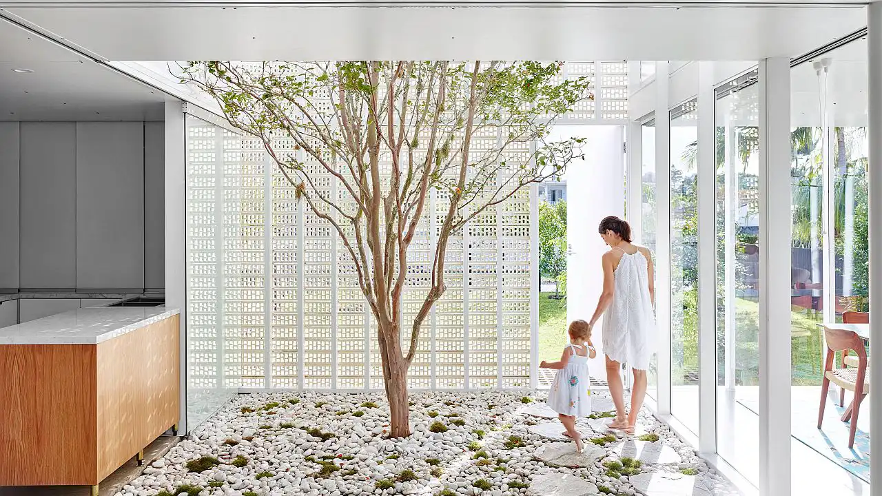An Environment of Biophilic Design Introducing The Jungle (3) An Environment of Biophilic Design Introducing The Jungle (3)