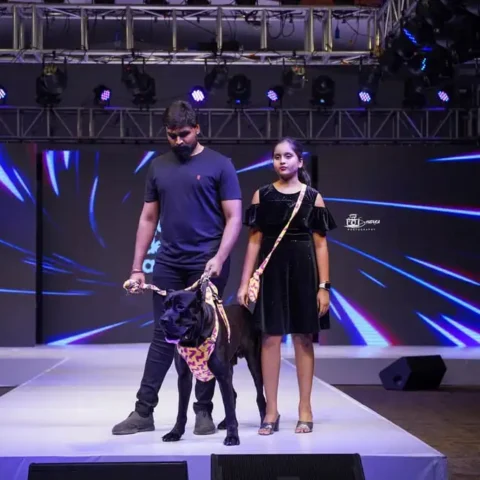 HAYA Canine Fashion Thumbnail jpg