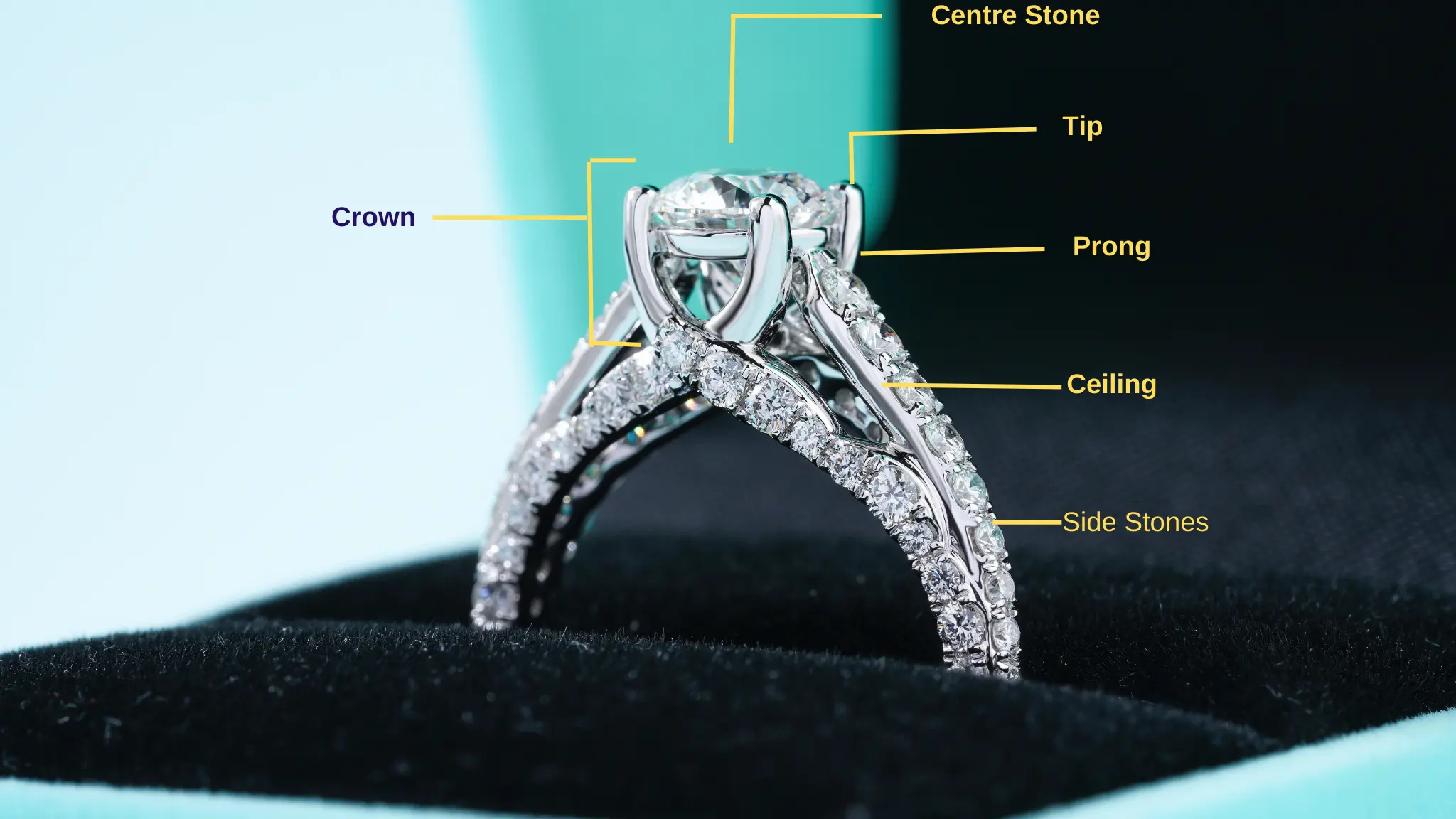 The Anatomy of a Ring Understanding the Parts The Anatomy of a Ring Understanding the Parts
