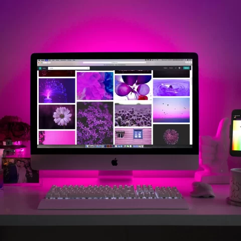 Photography in Modern Visual Design