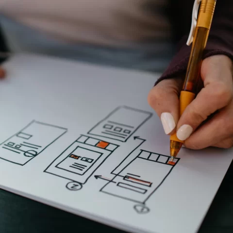 UIUX Design Bachelor’s or Diploma Which One is Better for You
