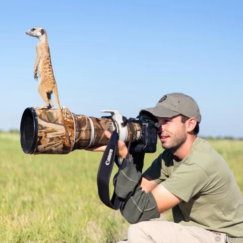 A Guide to Becoming a Professional Wildlife Photographer