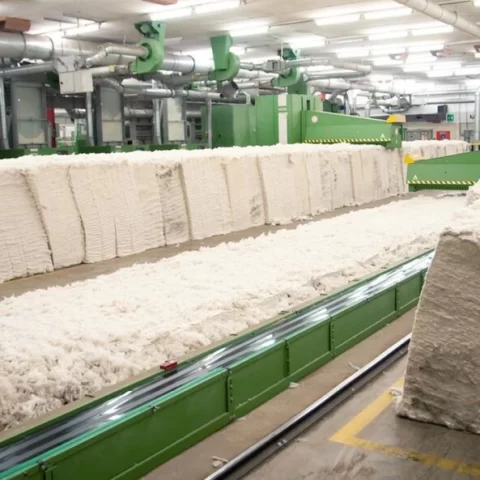 Field to Fashion A Story of Cotton Fabric Production (2)