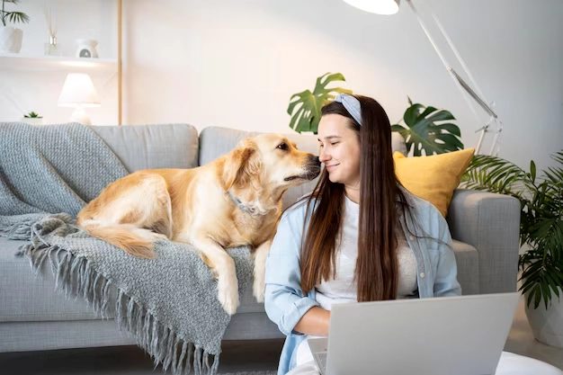 Creating Pet-Friendly Interior Spaces Tips and Ideas (1) Creating Pet Friendly Interior Spaces Tips and Ideas (1)