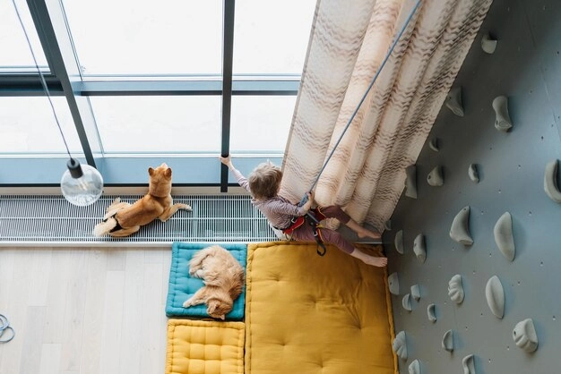 Creating Pet-Friendly Interior Spaces Tips and Ideas (3) Creating Pet Friendly Interior Spaces Tips and Ideas (3)