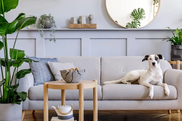 Creating Pet-Friendly Interior Spaces Tips and Ideas (4) Creating Pet Friendly Interior Spaces Tips and Ideas (4)