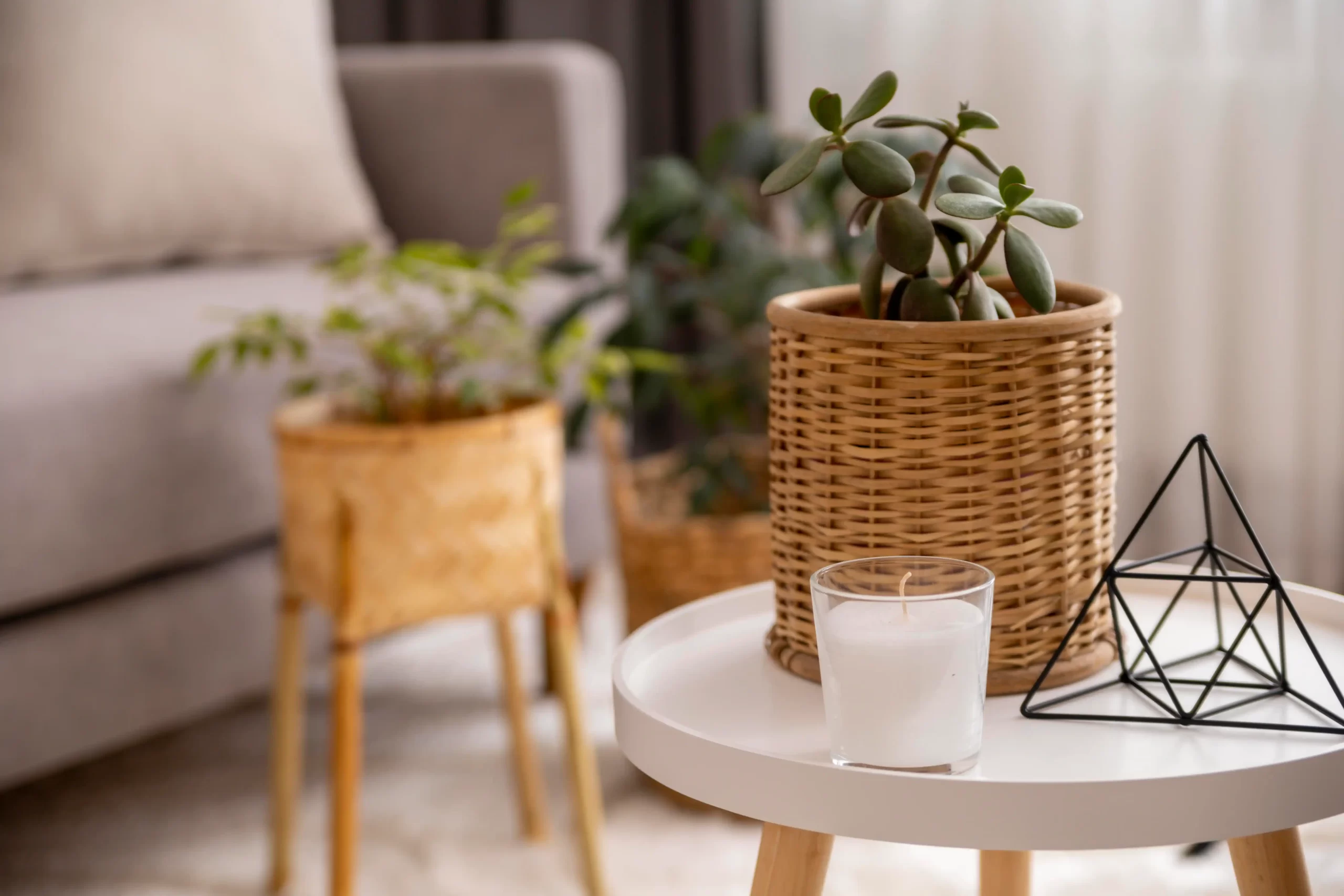 The Evolution of Sustainable Furniture Design (2) The Evolution of Sustainable Furniture Design (2)