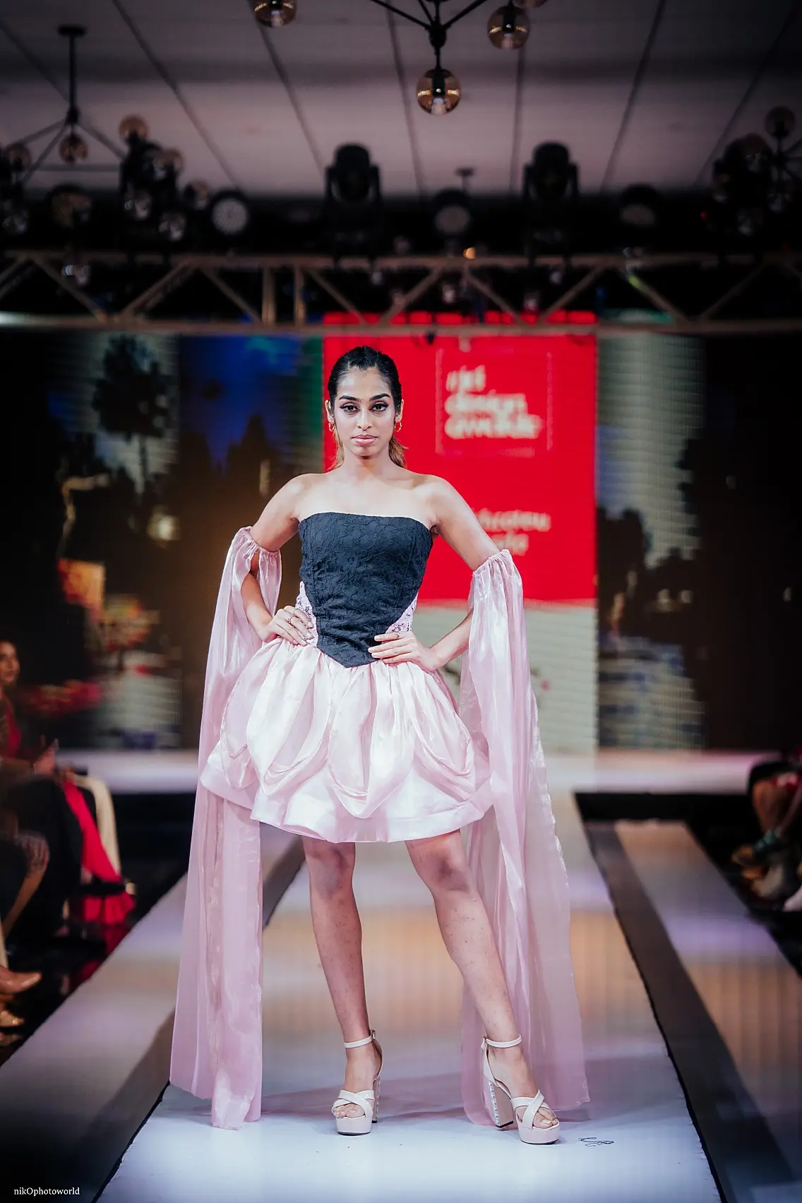 Victorian Beauty Reimagined for the Modern Woman (1)