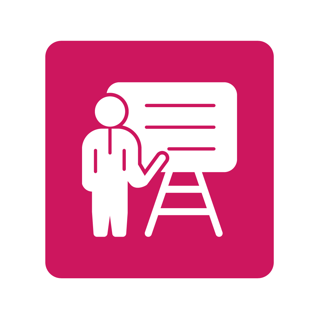 Mentorship by Industry Experts