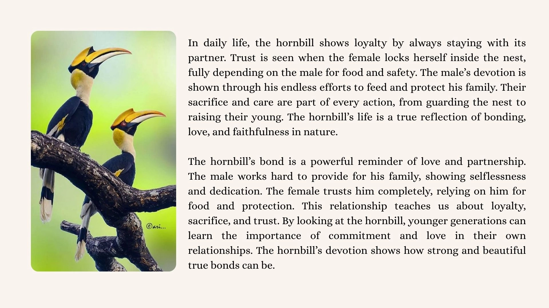 THE DEVOTION LOVE (12)